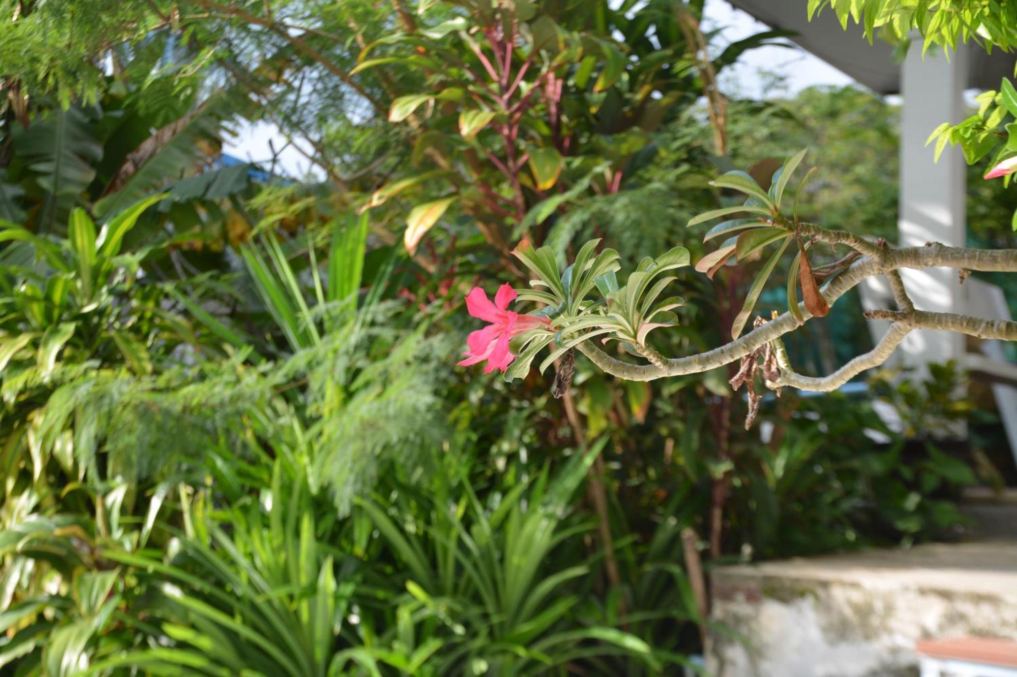 Baan Suan Villa 1 Patong Екстер'єр фото